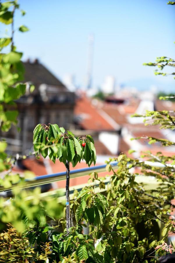 Zagreb Rooftops Екстериор снимка